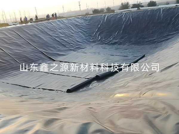 選擇防滲土工膜進(jìn)行小龍蝦養(yǎng)殖有哪些要點(diǎn)技巧？